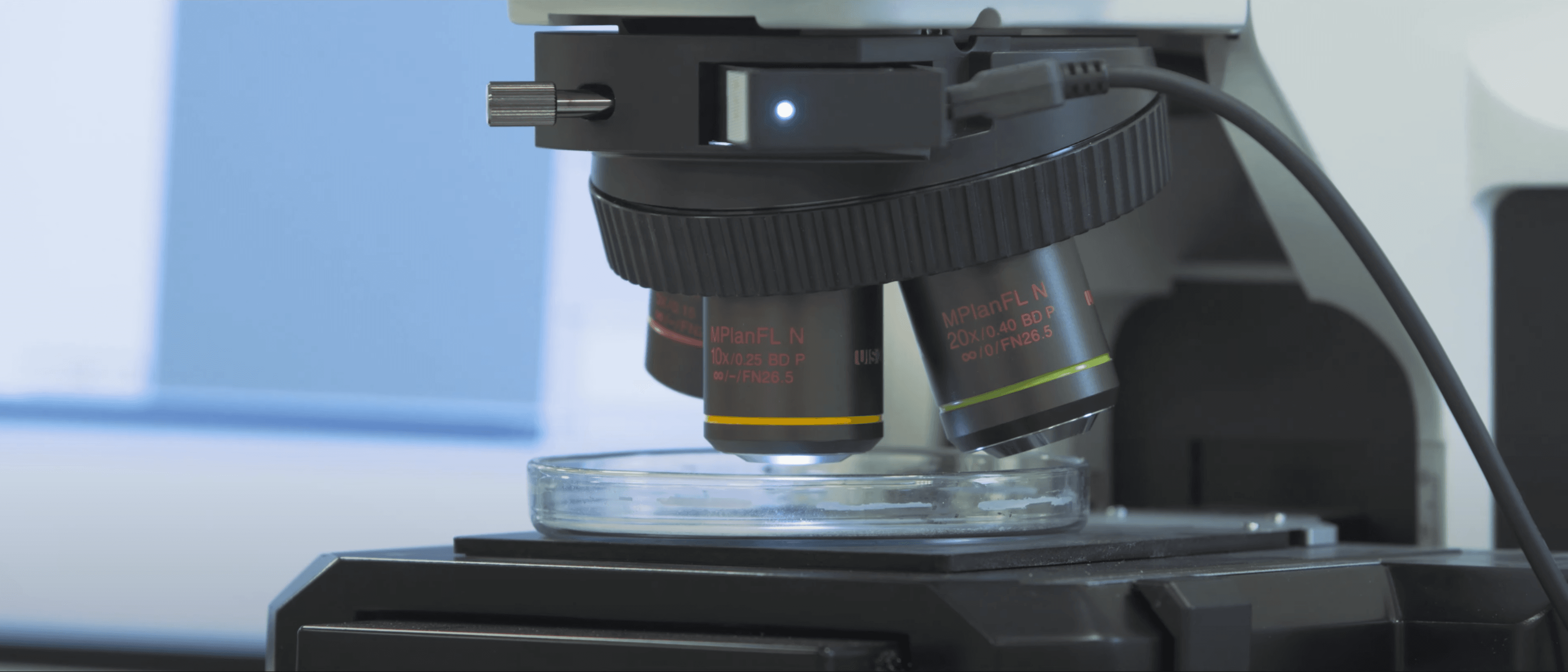Stereoscopic microscopes