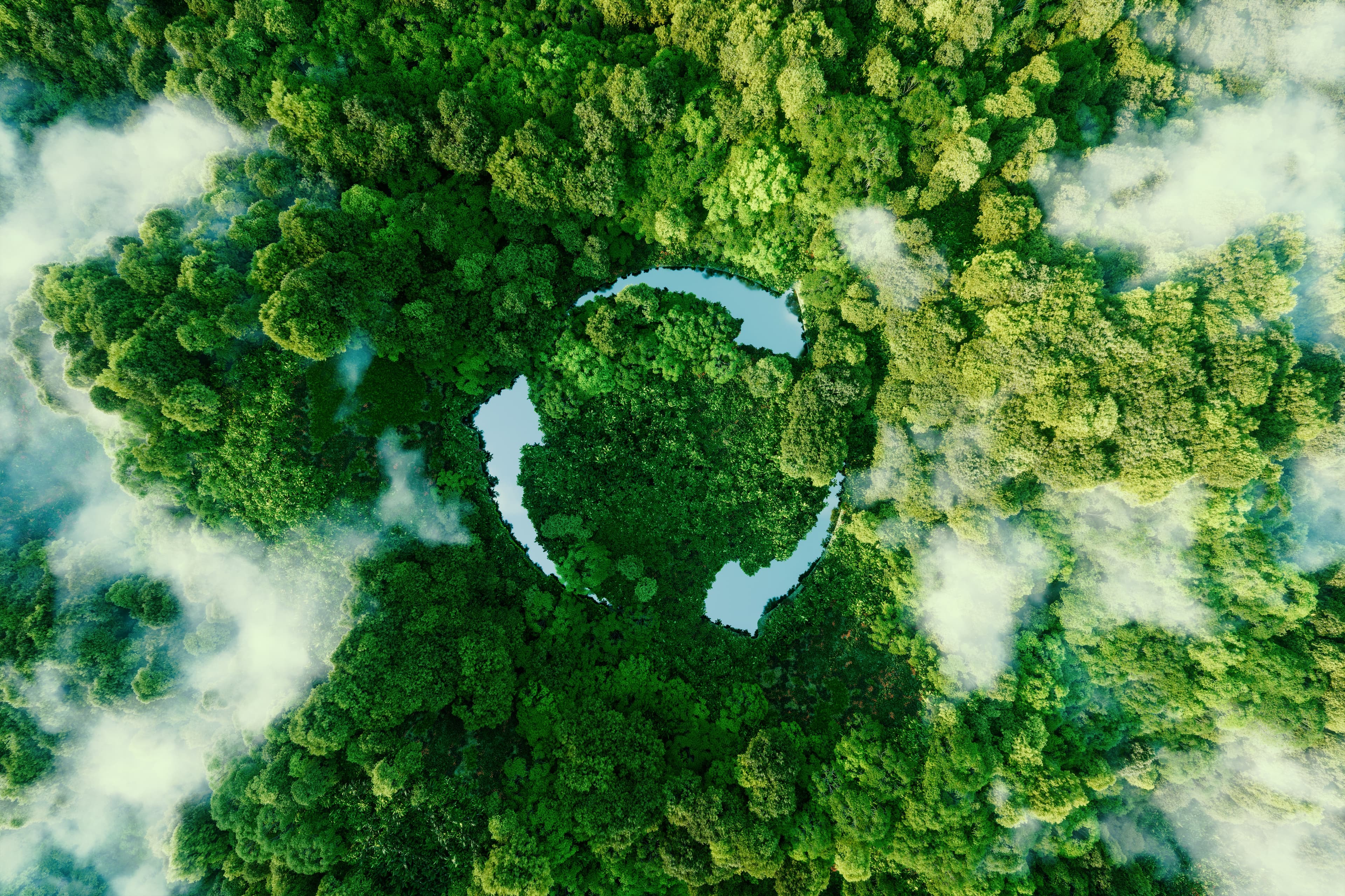 Eco