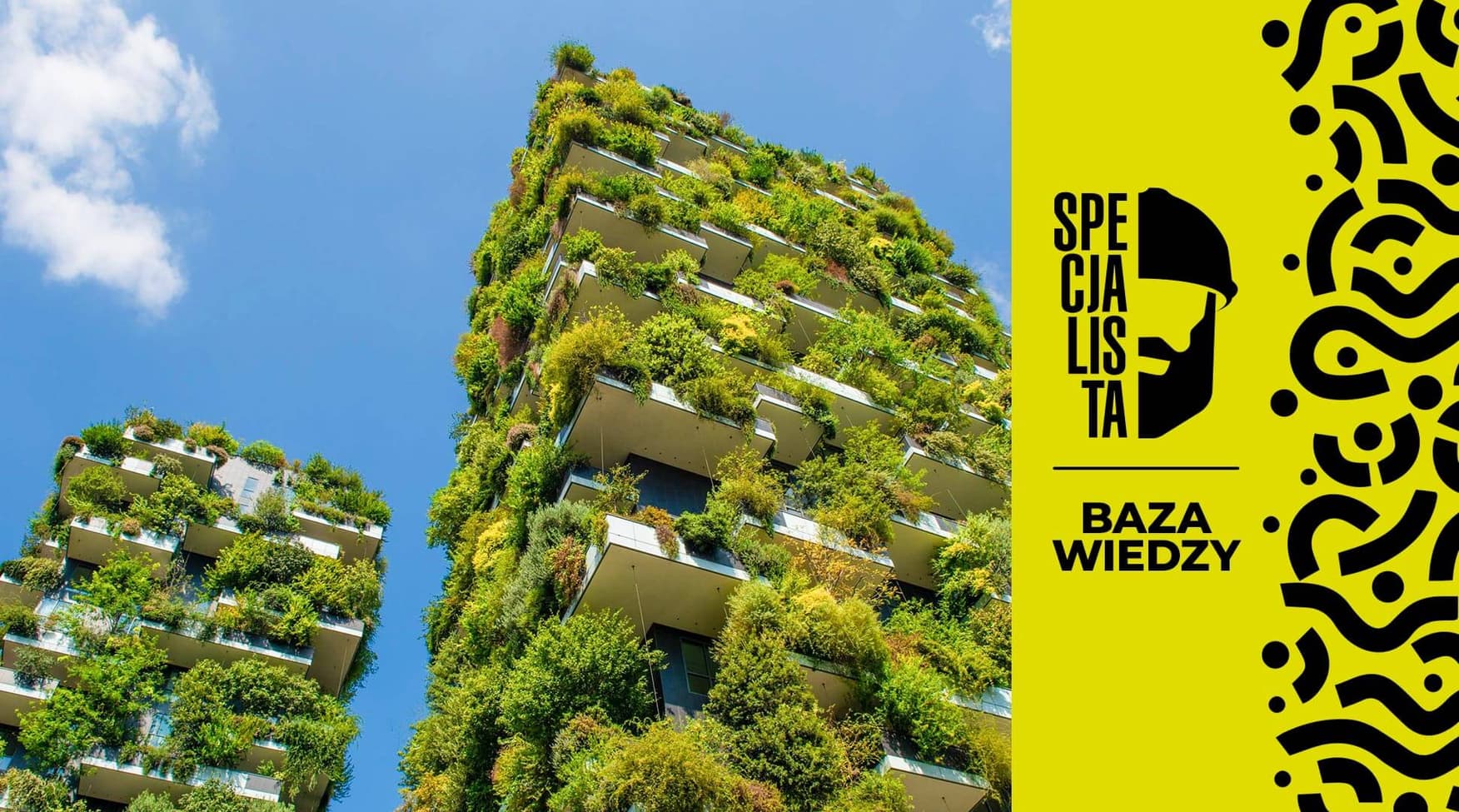 Jak budować eko? Co jest ekologiczne w budownictwie i co to oznacza?